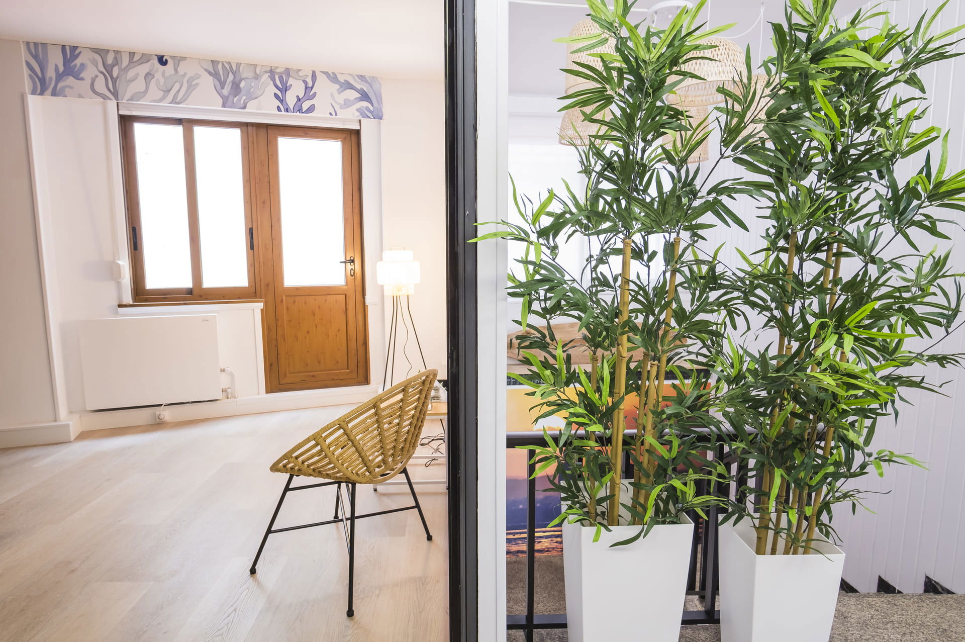 Imagen de la Galería 8