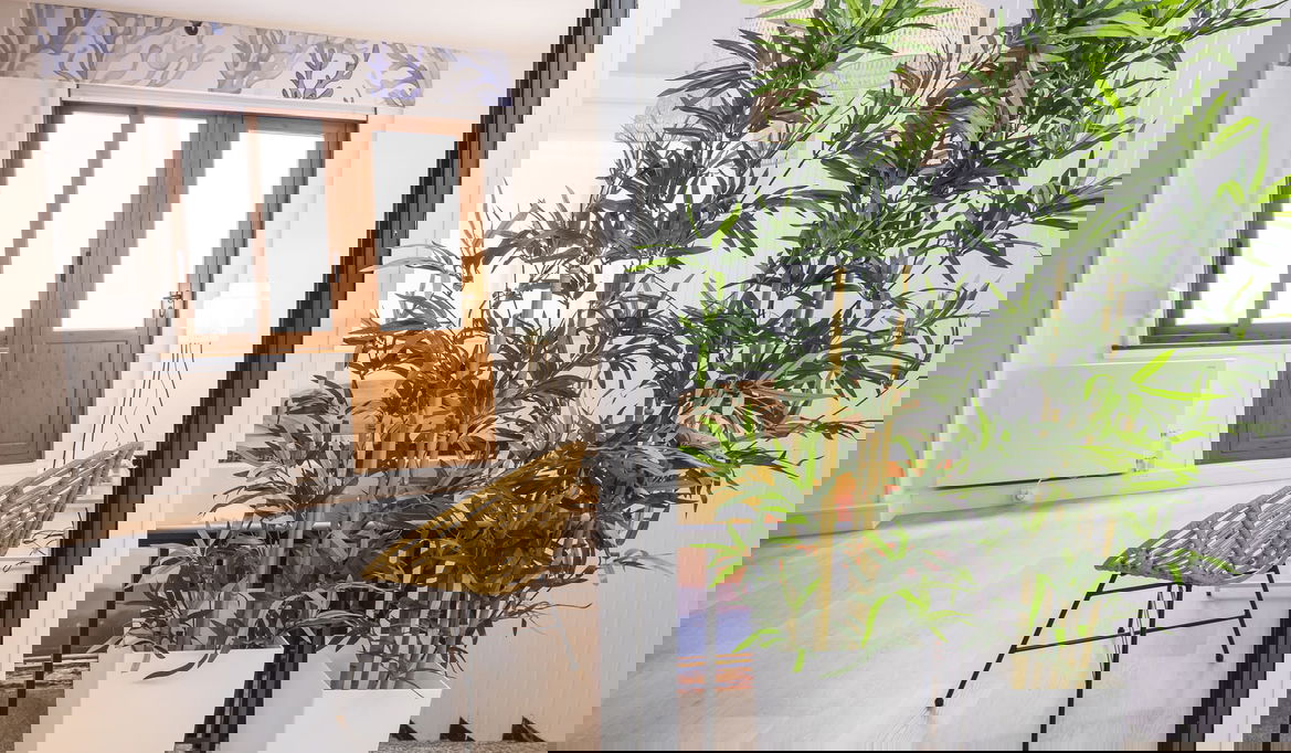 Imagen de la Galería 8