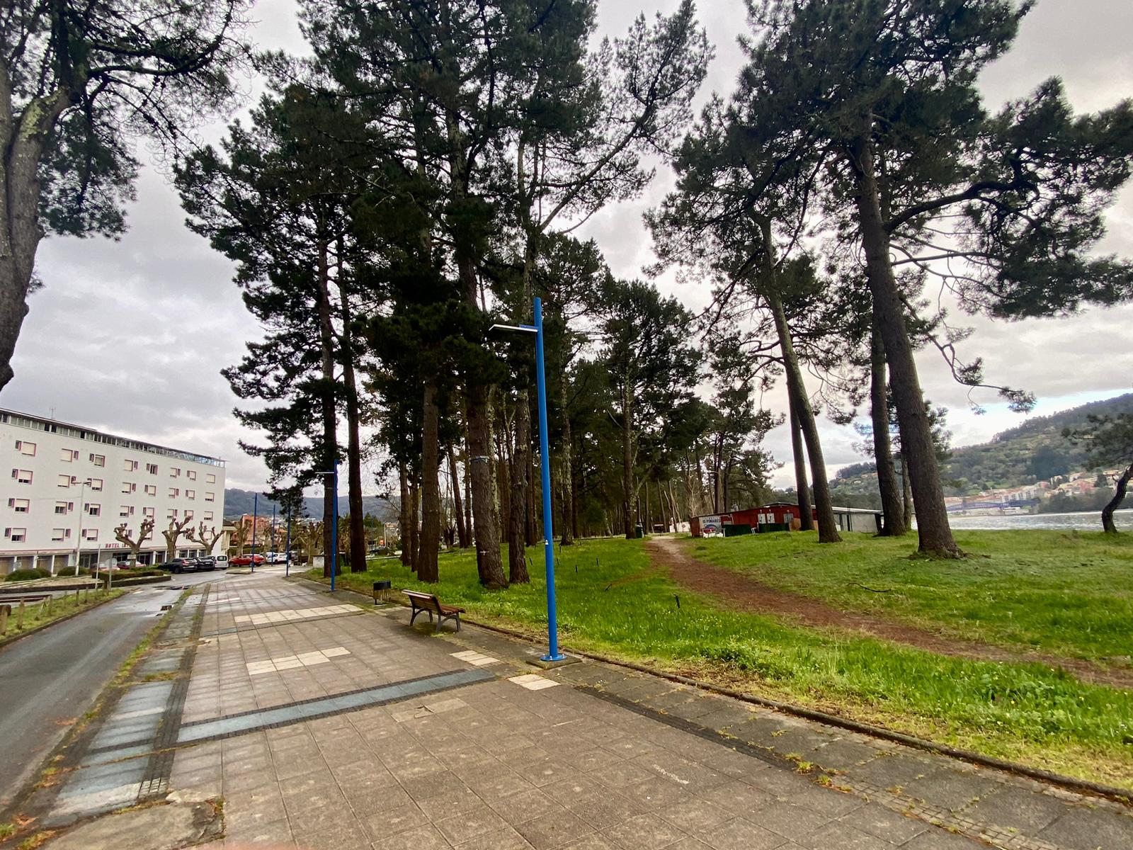 Imagen de la Galería 2