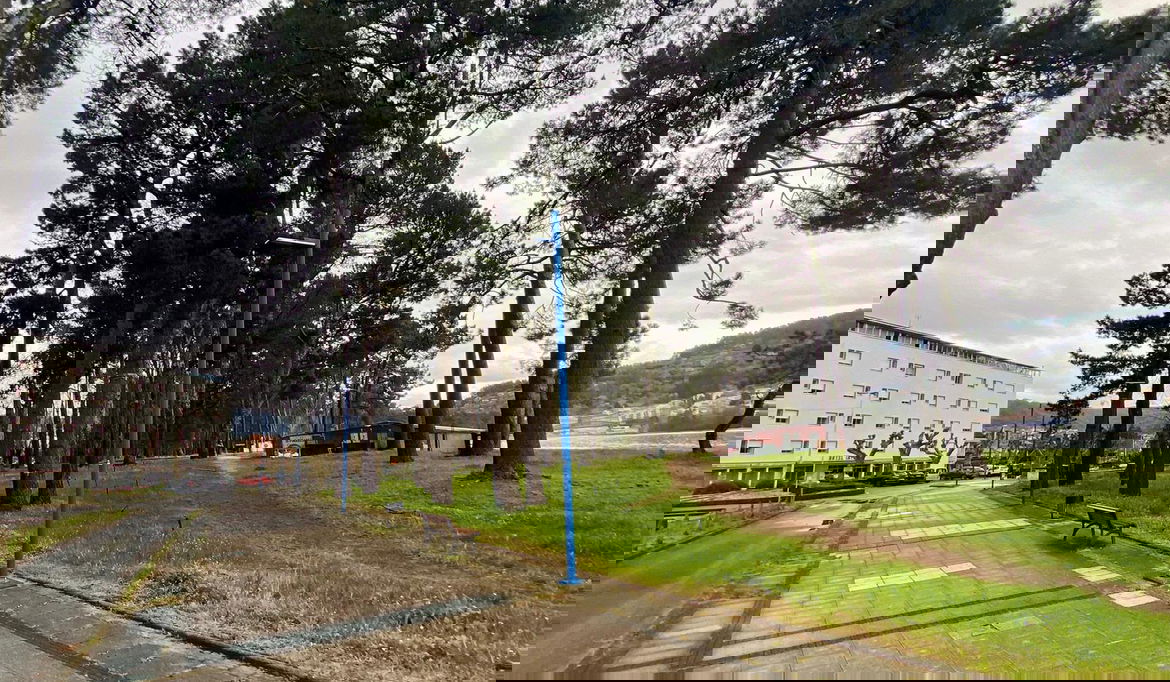 Imagen de la Galería 2