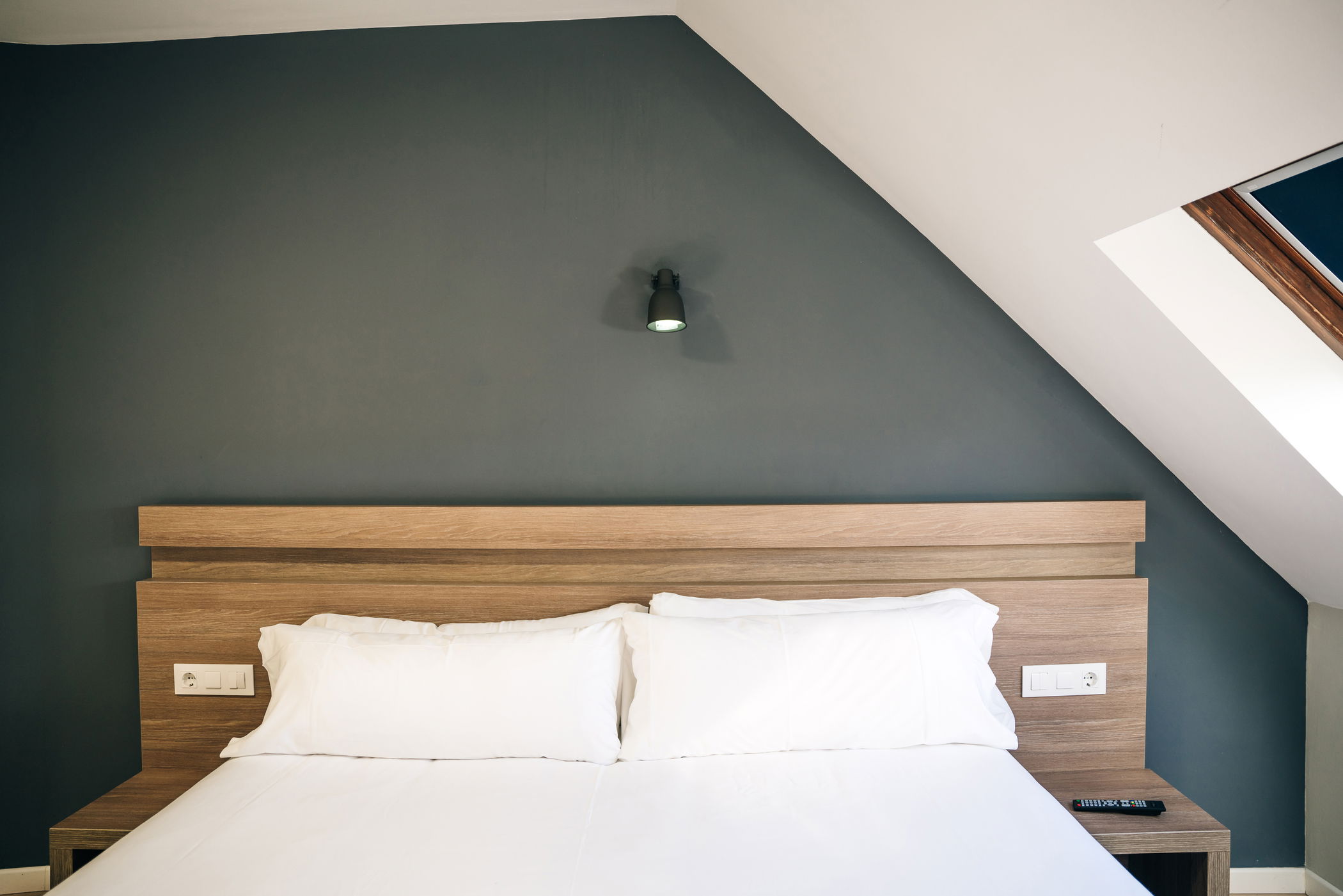 Imagen de la Galería 7