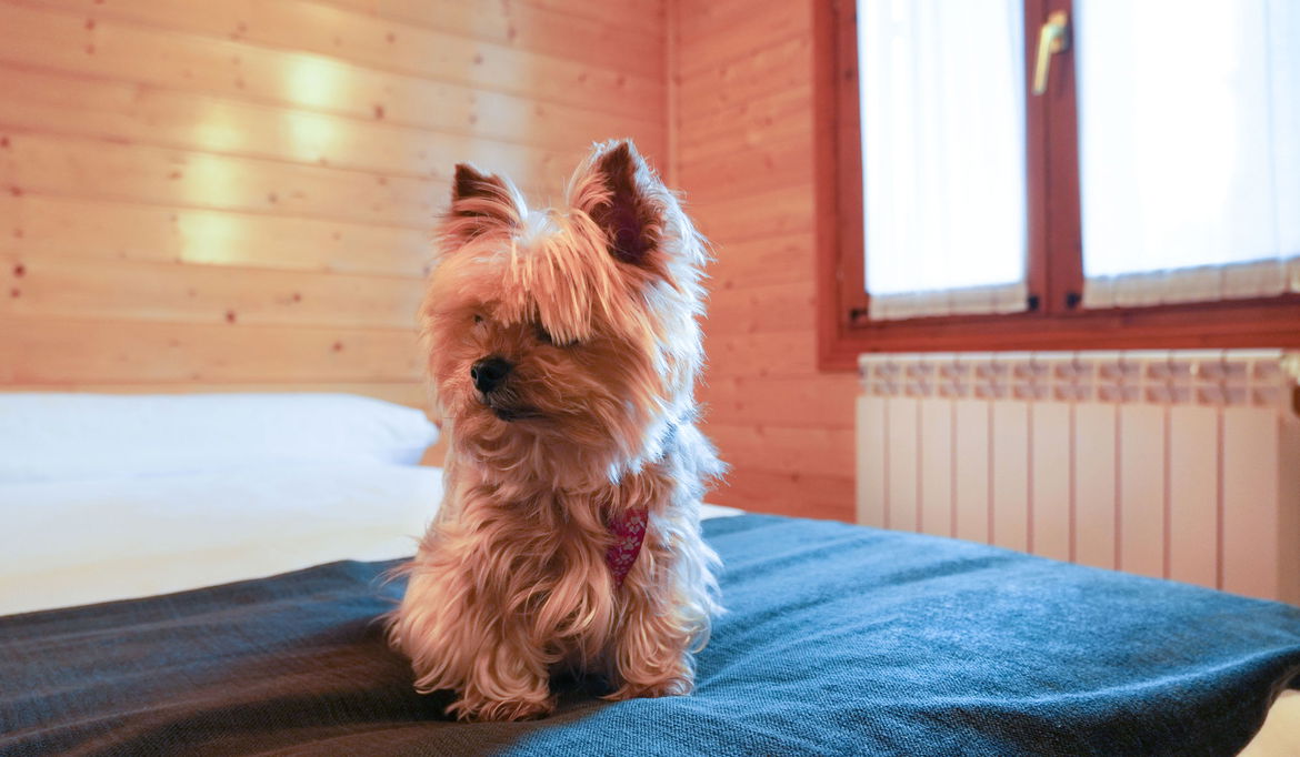 Imagen de la Galería 3