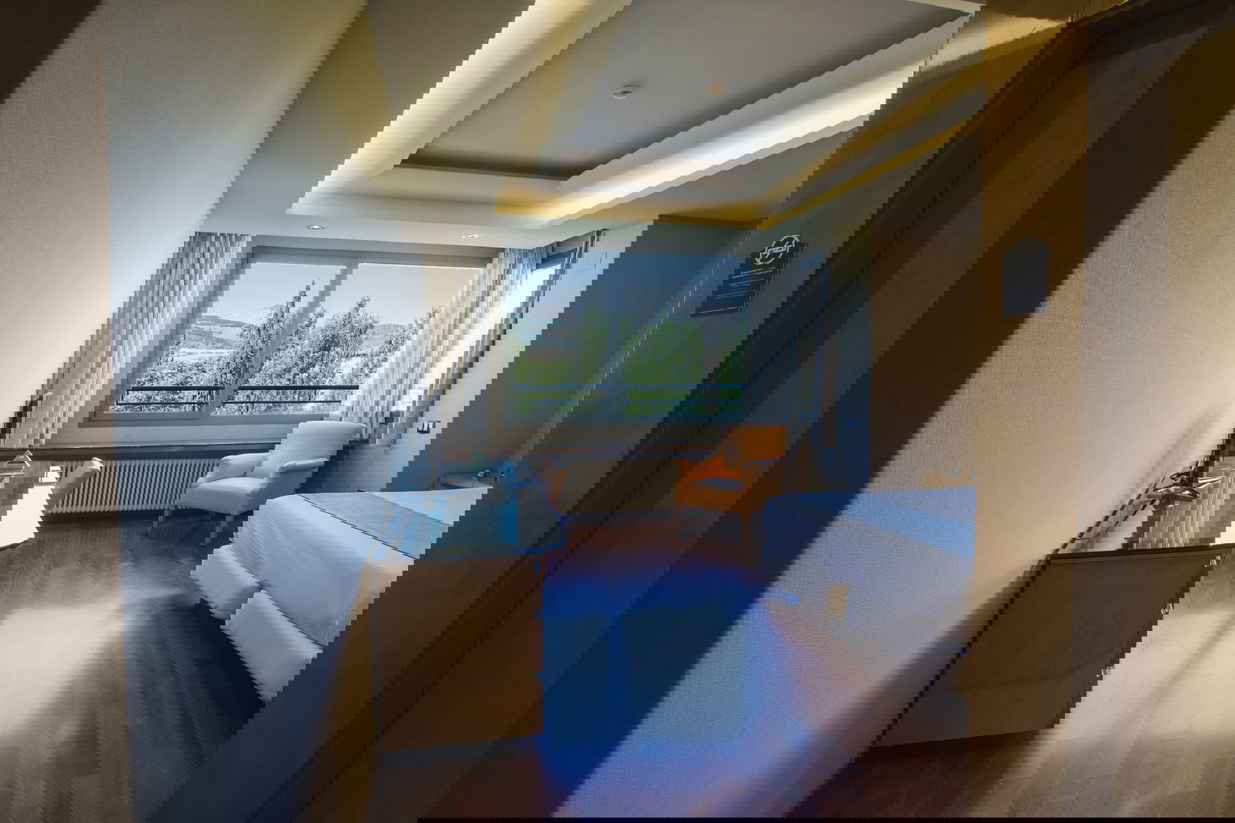 Imagen de la Galería 1