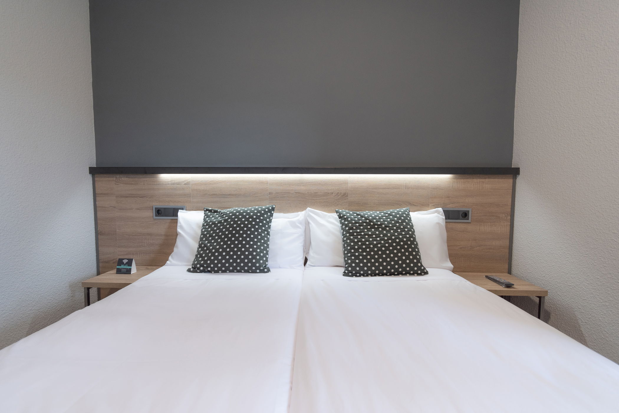 Imagen de la Galería 1