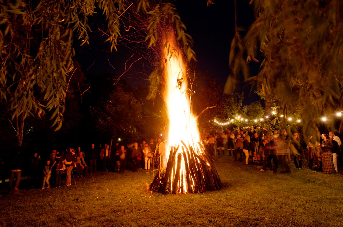 Imagen de la Galería