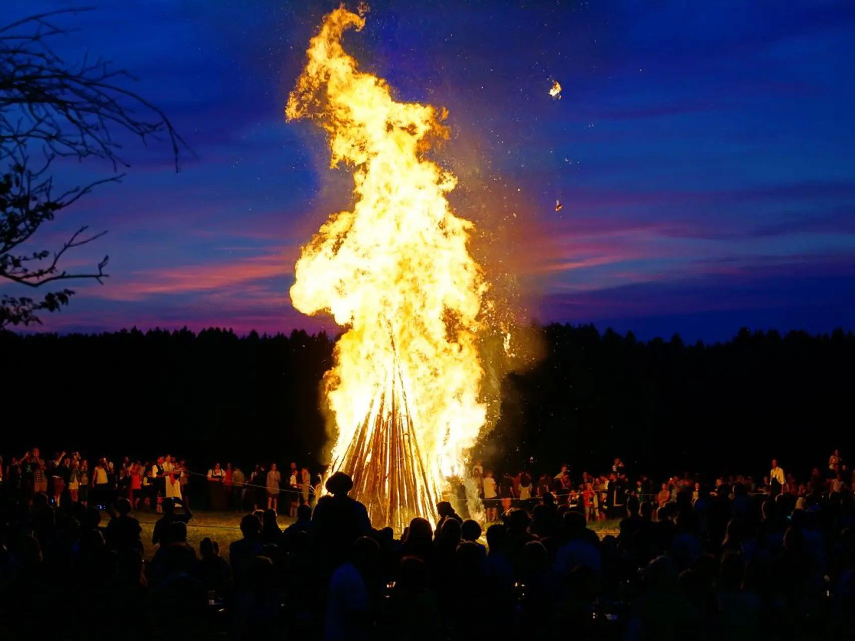 Imagen de la Galería