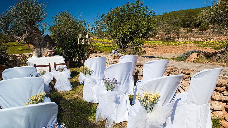 Imagen de la Galería