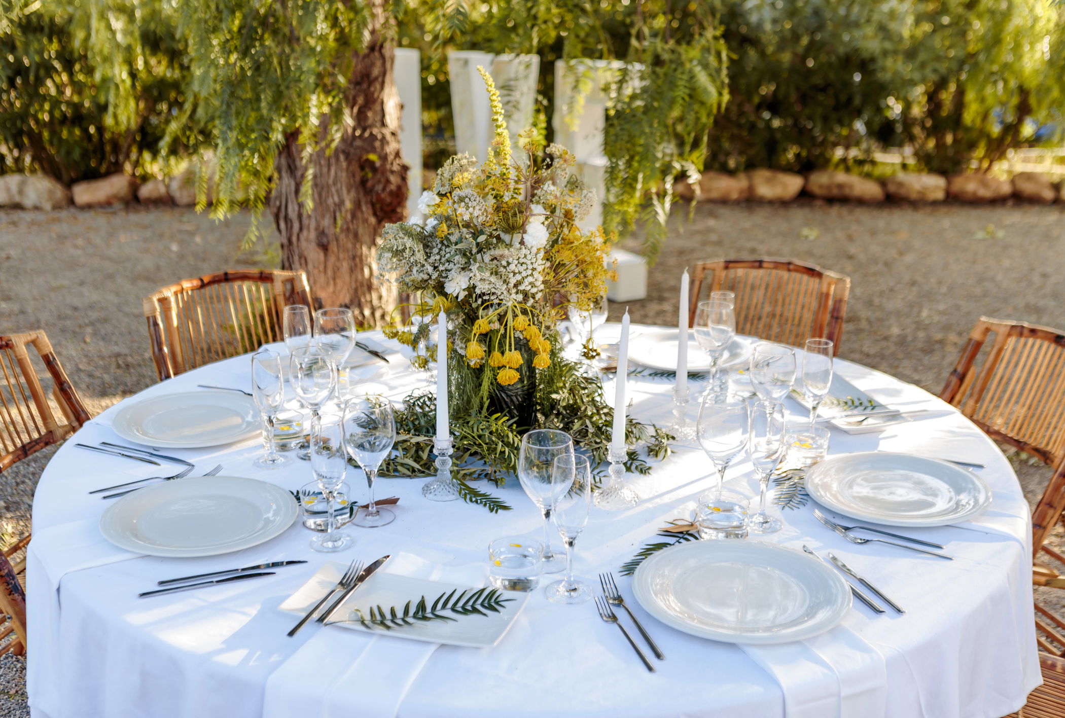 Imagen de la Galería