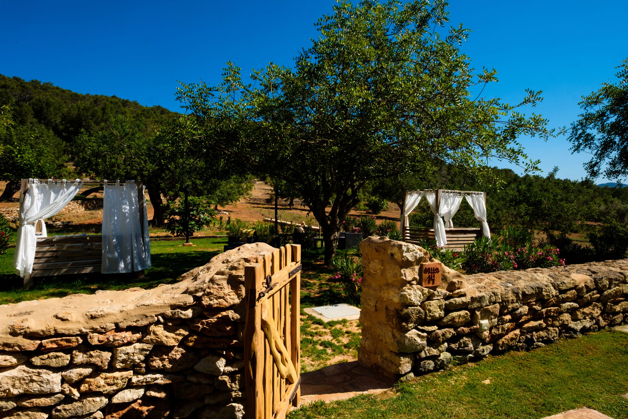 Imagen de la Galería