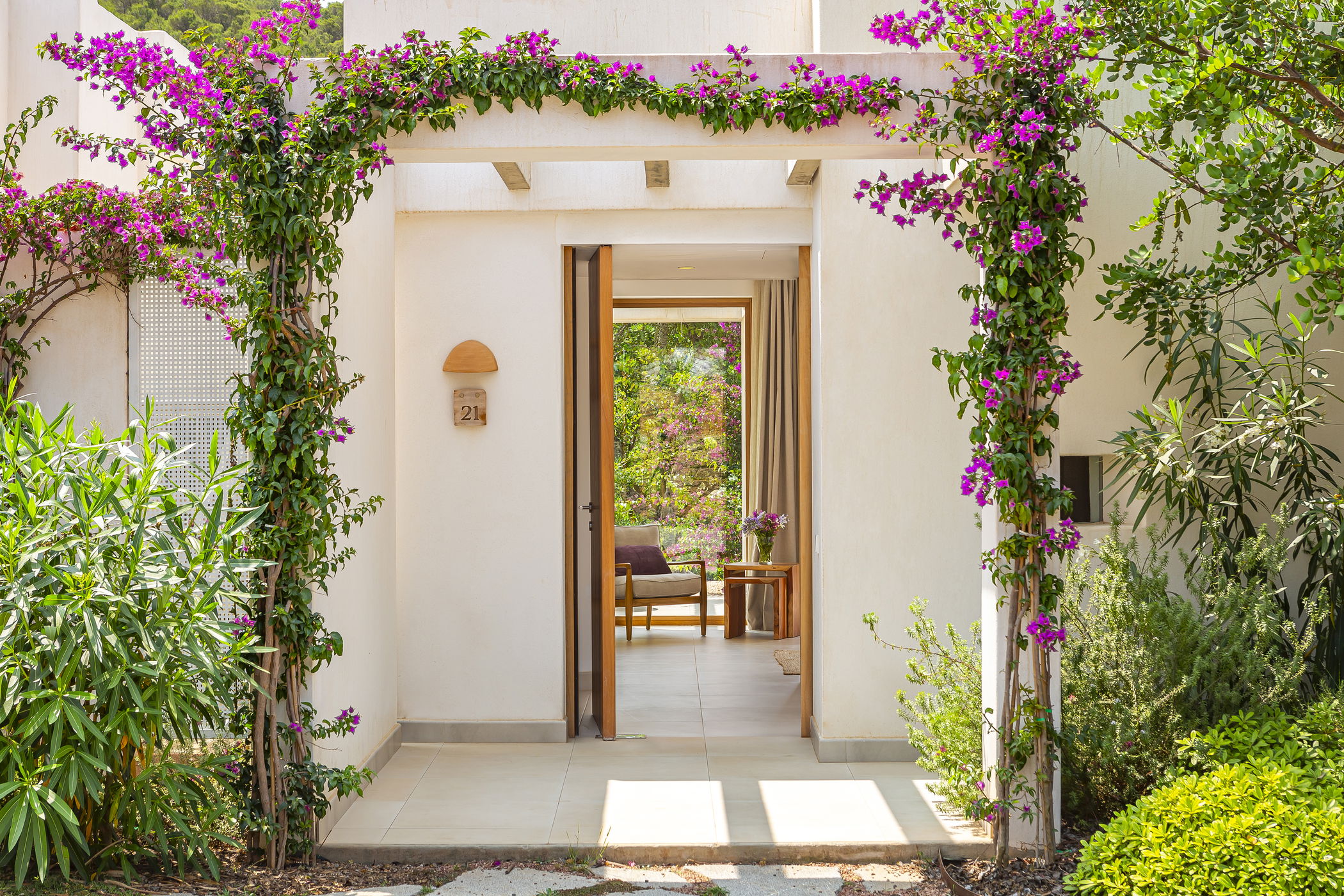 Imagen de la Galería