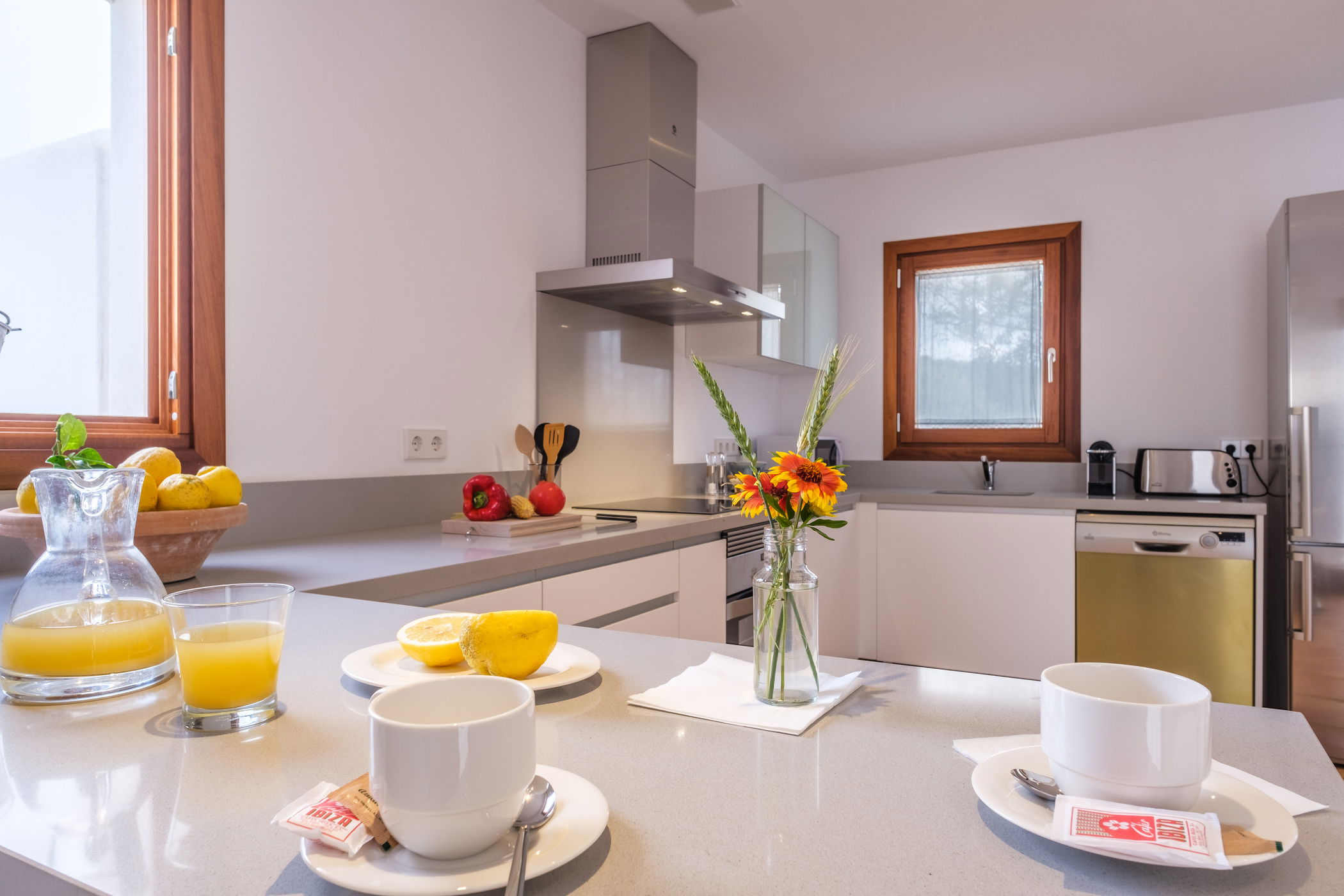 Imagen de la Galería