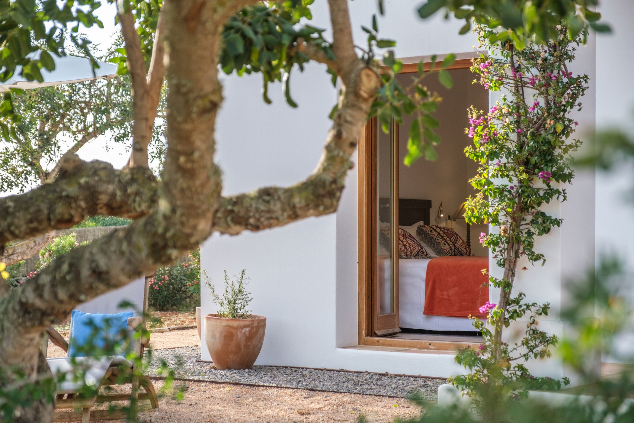 Imagen de la Galería