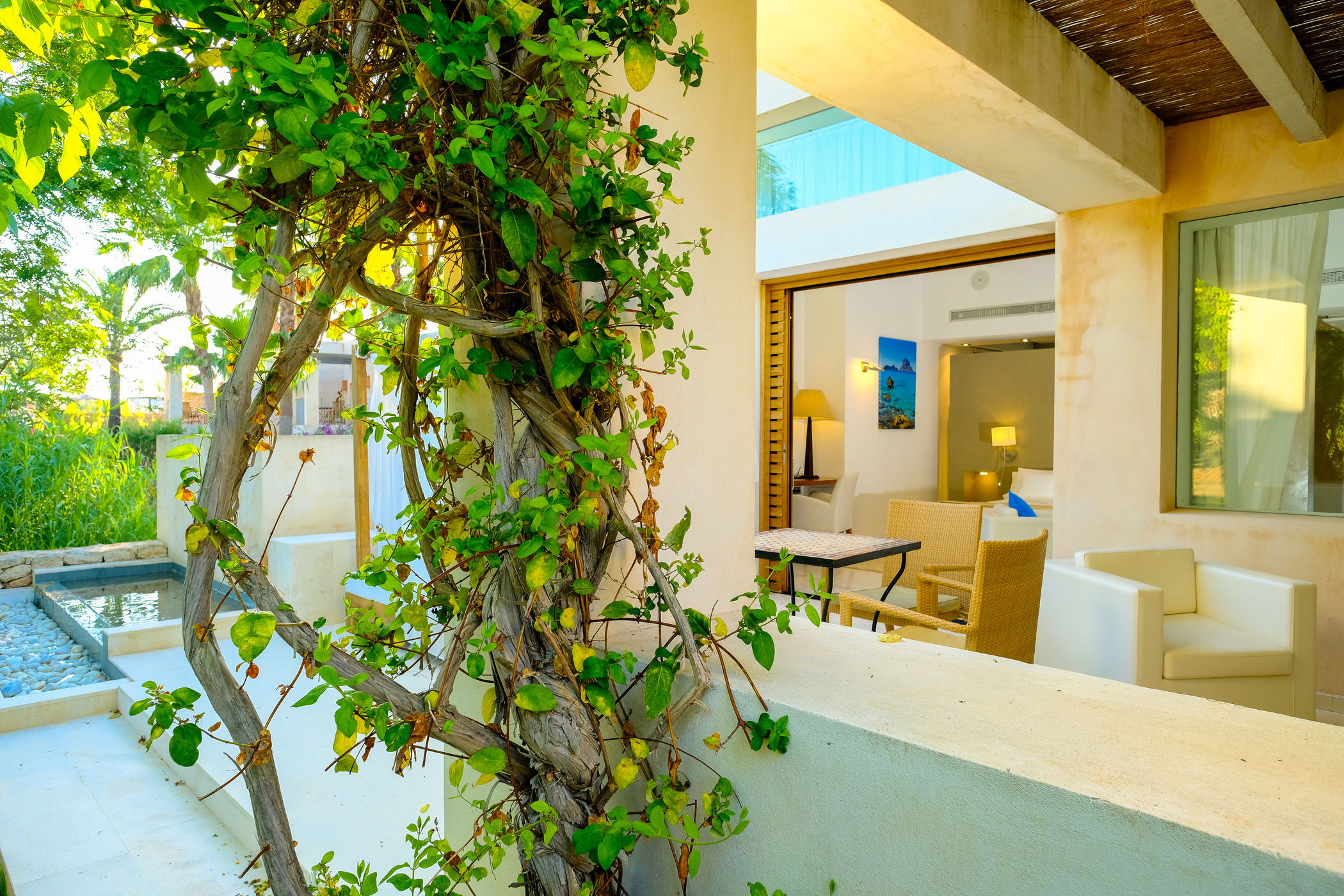 Imagen de la Galería