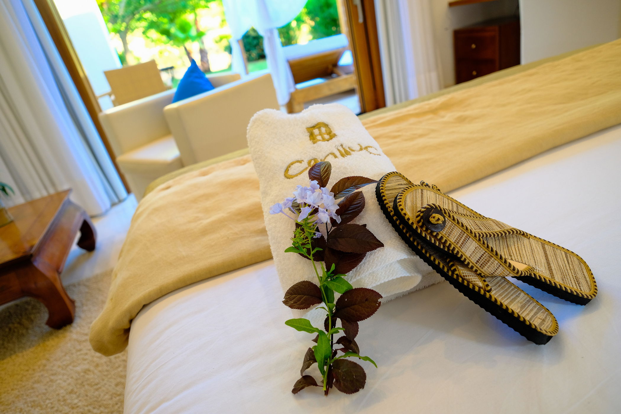 Imagen de la Galería