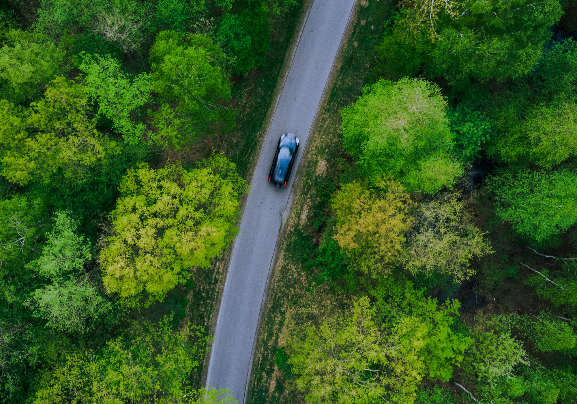 imágen del listado por defecto 6