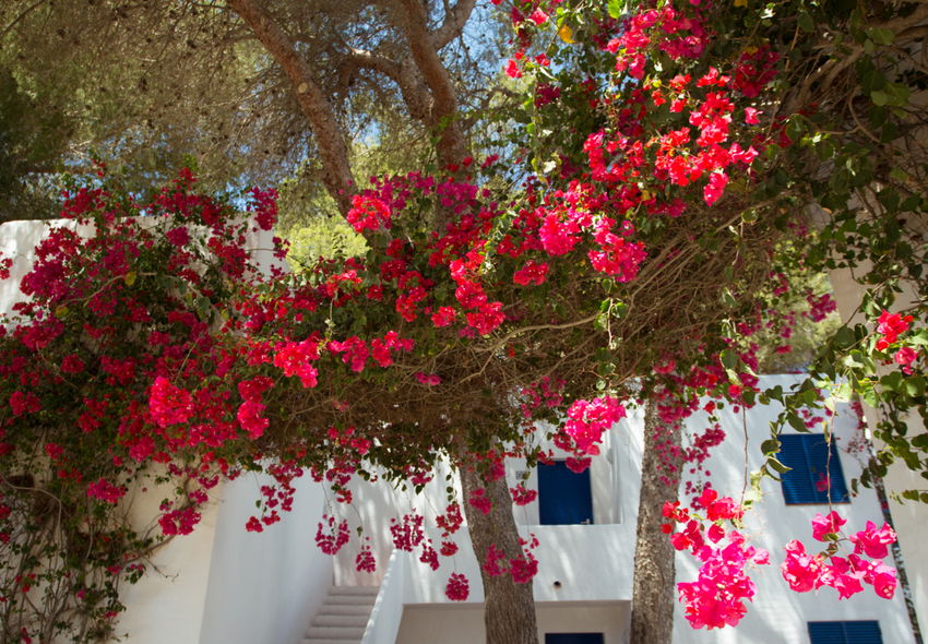 Insotel Fenicia Prestige: Camera doppia