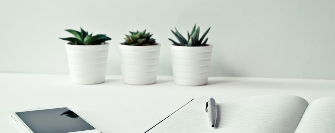 Insotel Fenicia Prestige: hero slider