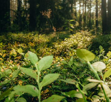 Insotel Fenicia Prestige: Be Blue