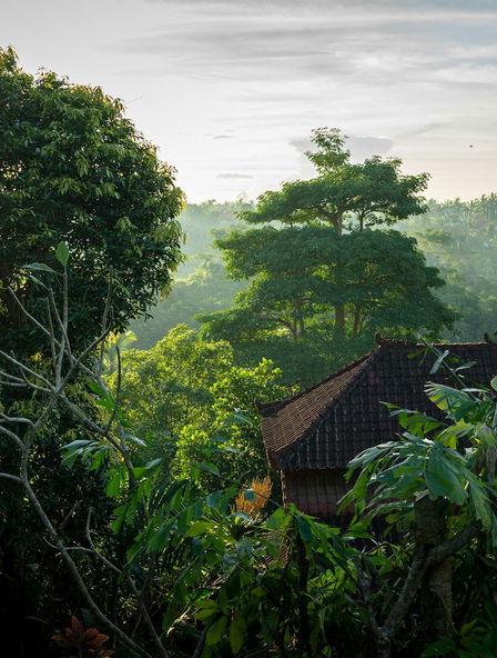 Holidays in Ubud