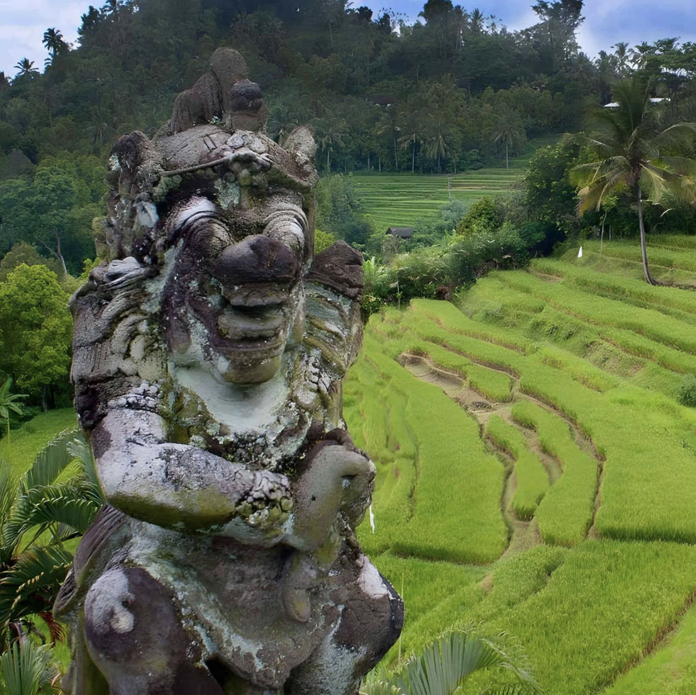 Hikes, Waterfalls and the Wild Side of Ubud