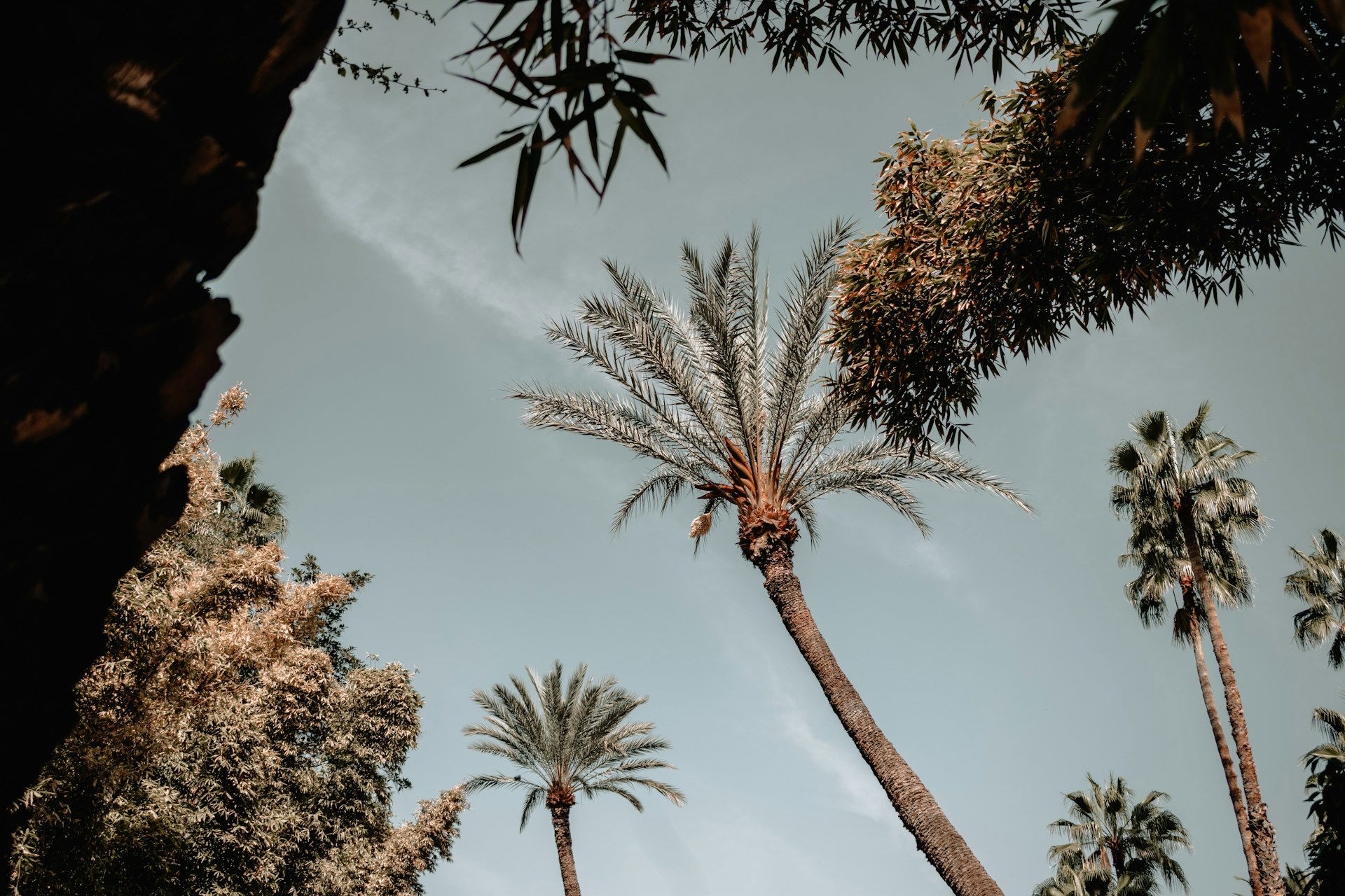Marrakech