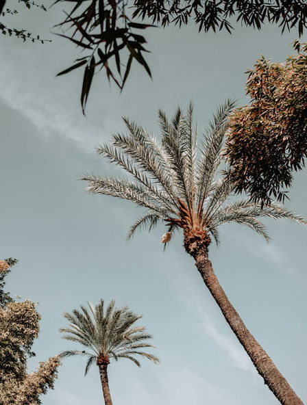 Marrakech