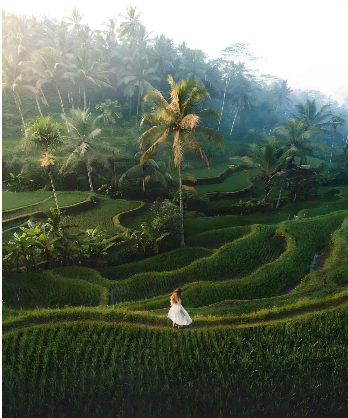 Ubud, the Cultural Heart of Bali