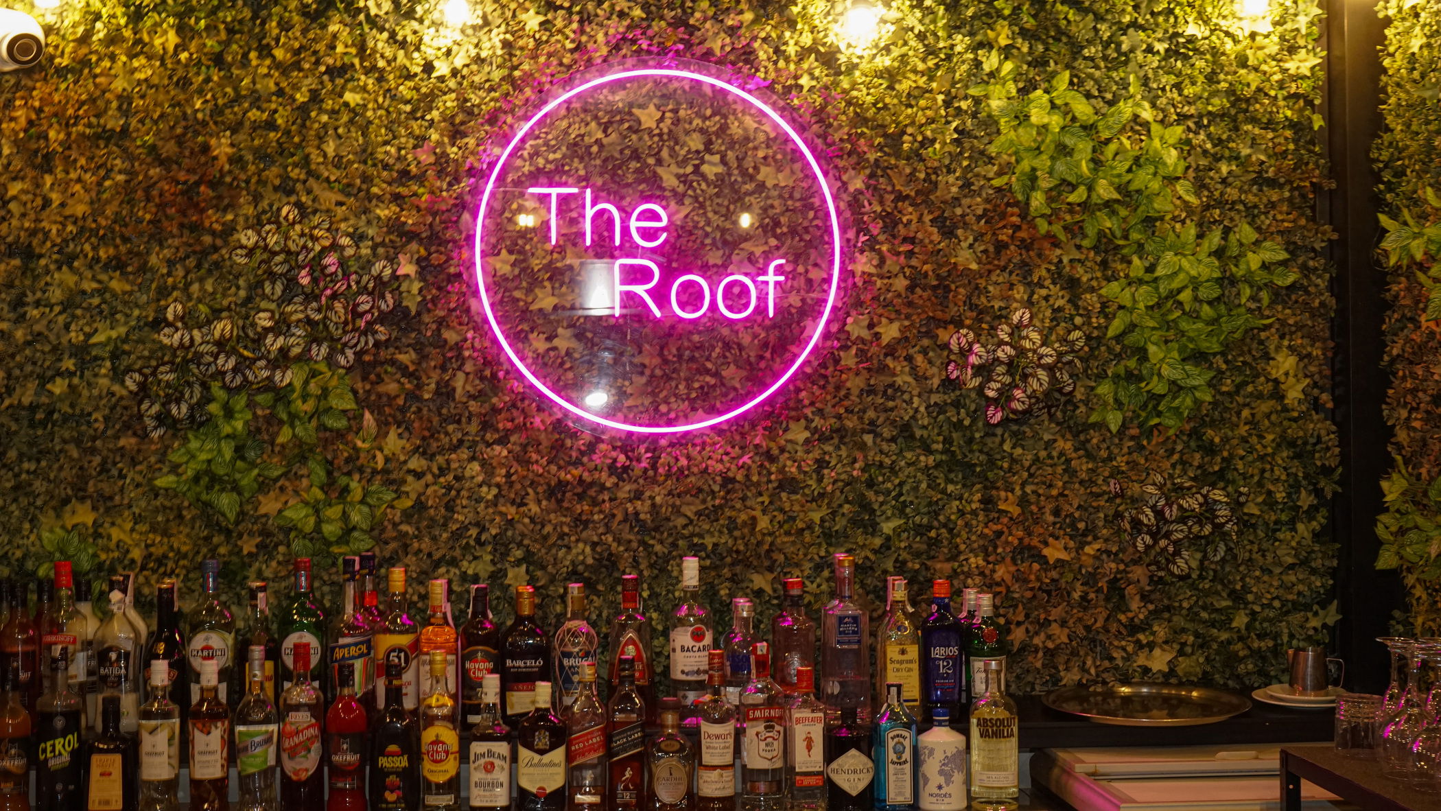 Template 7:Image from hotel Servicios e instalaciones del Hotel Alameda Benidorm