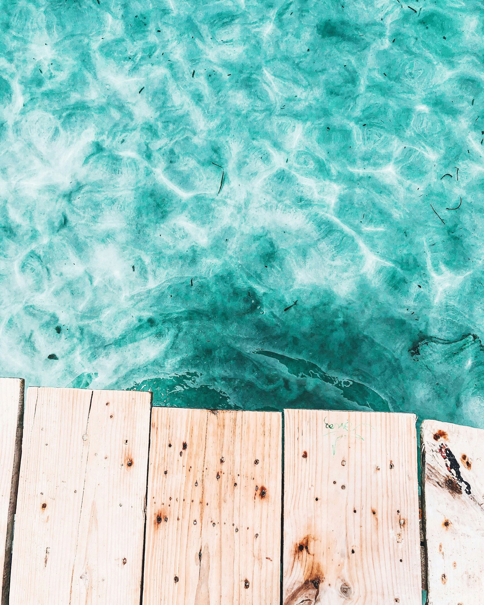 Imagen description of section