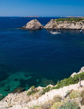 Template 6:Gallery image 8