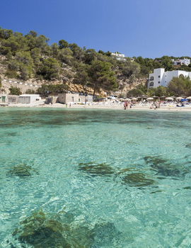 Template 6:Gallery image 7