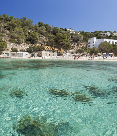 Template 6:Intro image 2