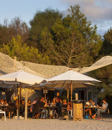 Template 6:Intro image 1