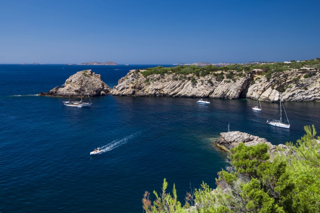 Template 6:Slider image 1