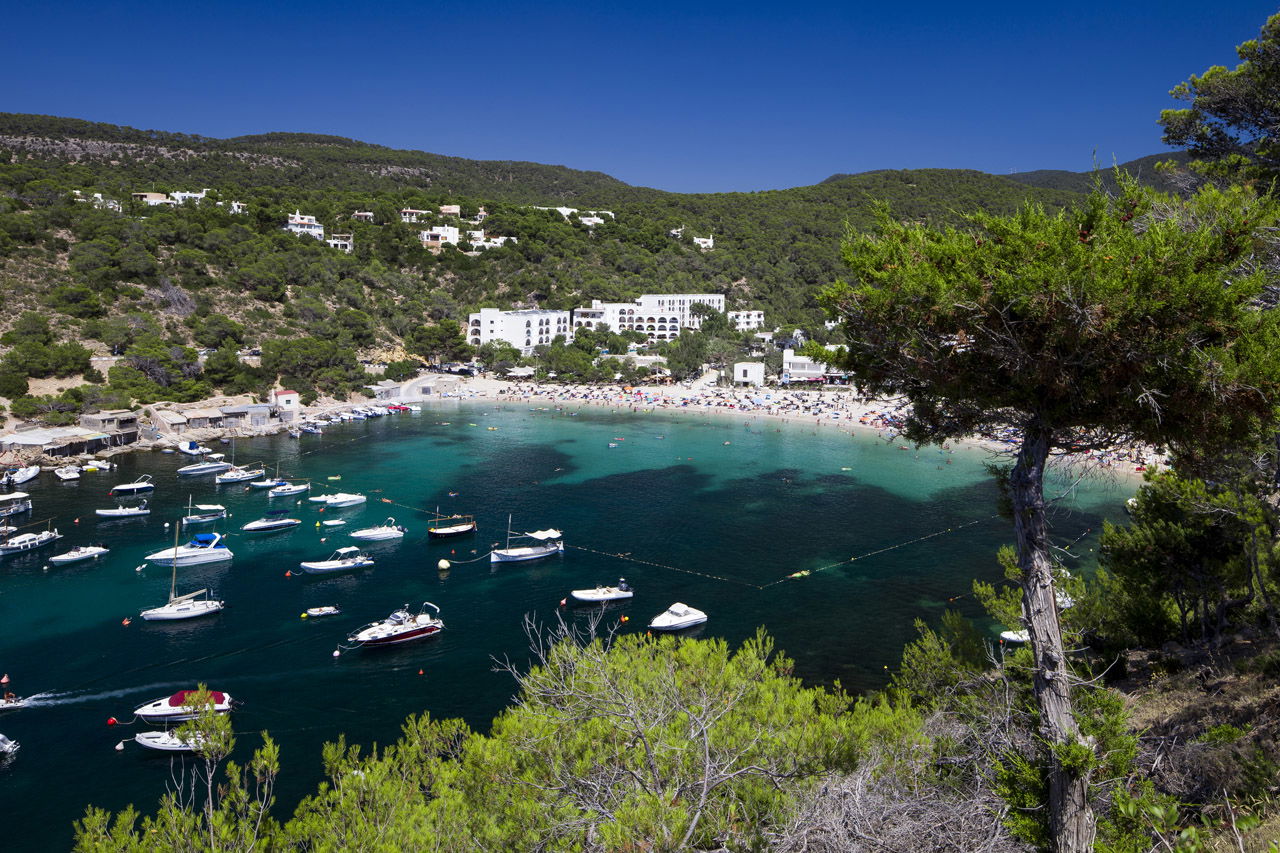 Template 6:imágen del listado por defecto 1