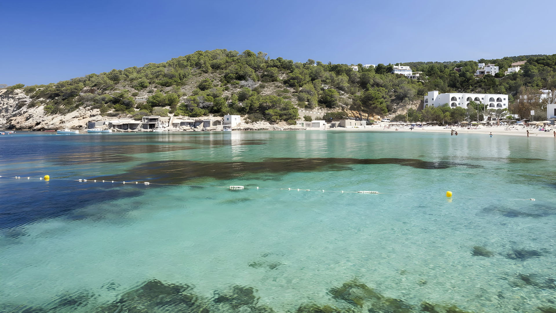 Template 6:Slider image 2