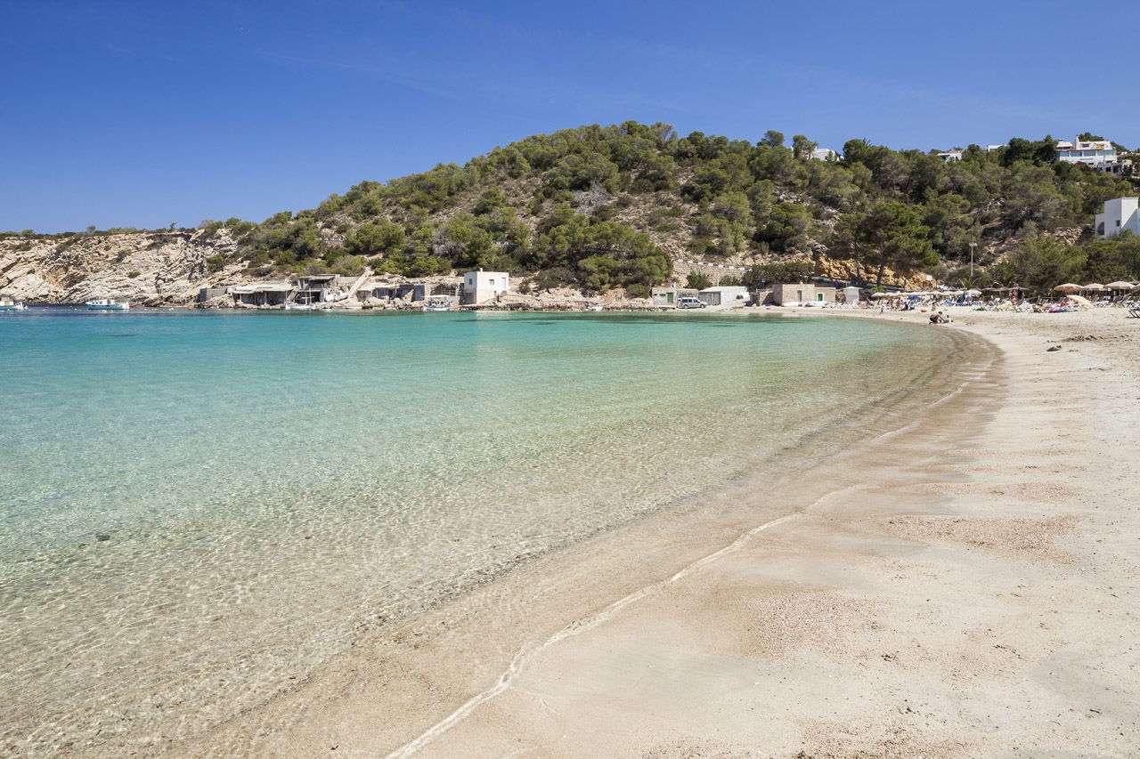 Template 6:Intro image 1