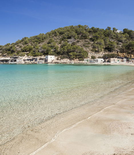 Template 6:Intro image 1