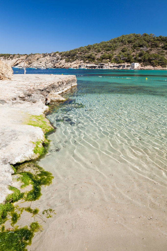 Template 6:image related item: 2