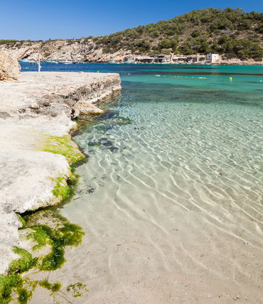 Template 6:image related item: 2