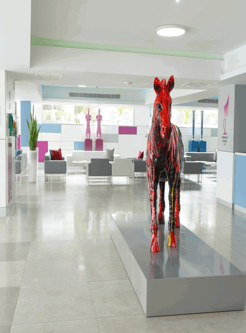 Labranda Hotels:Image from hotel Kontakt & Lage