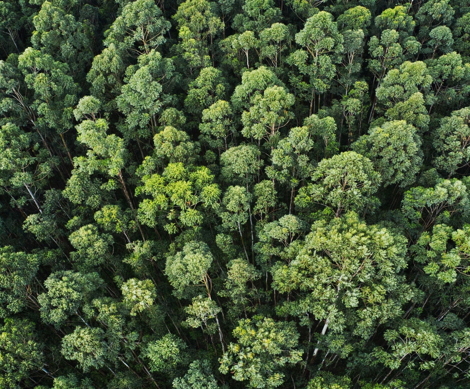 Hoteles labranda:Decorative image