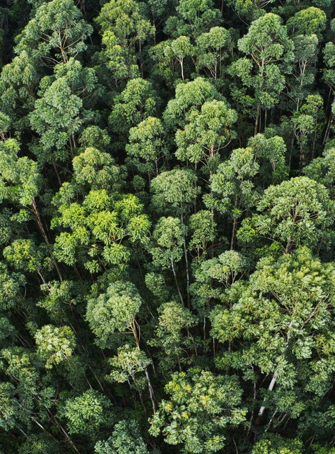 Labranda Hotels:Image from hotel Nachhaltigkeit im BEX Holiday Homes