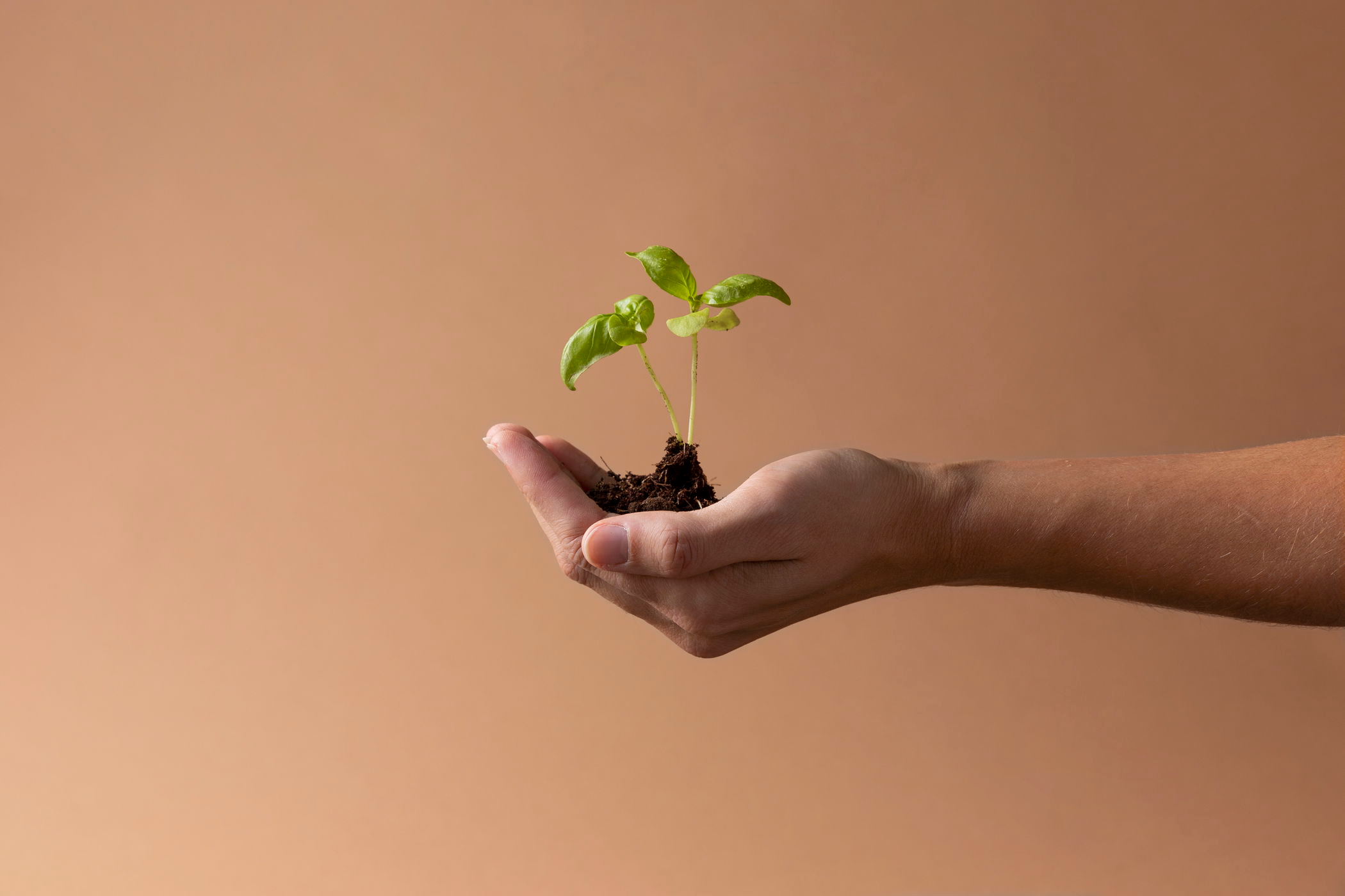 Hoteles labranda:Image from hotel Sustainability at LABRANDA El Dorado