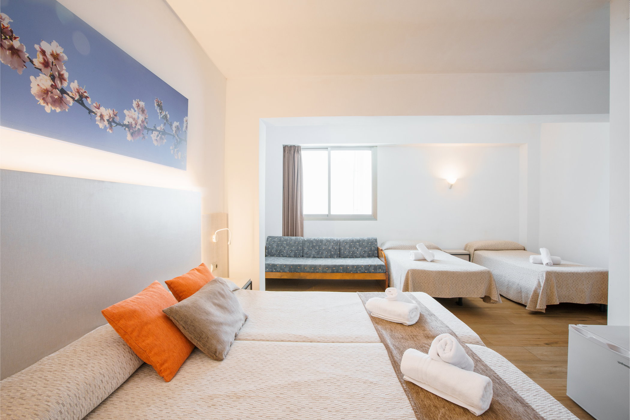 Hotel Florencio:Image from hotel Ofertas del Hotel Florencio Ibiza