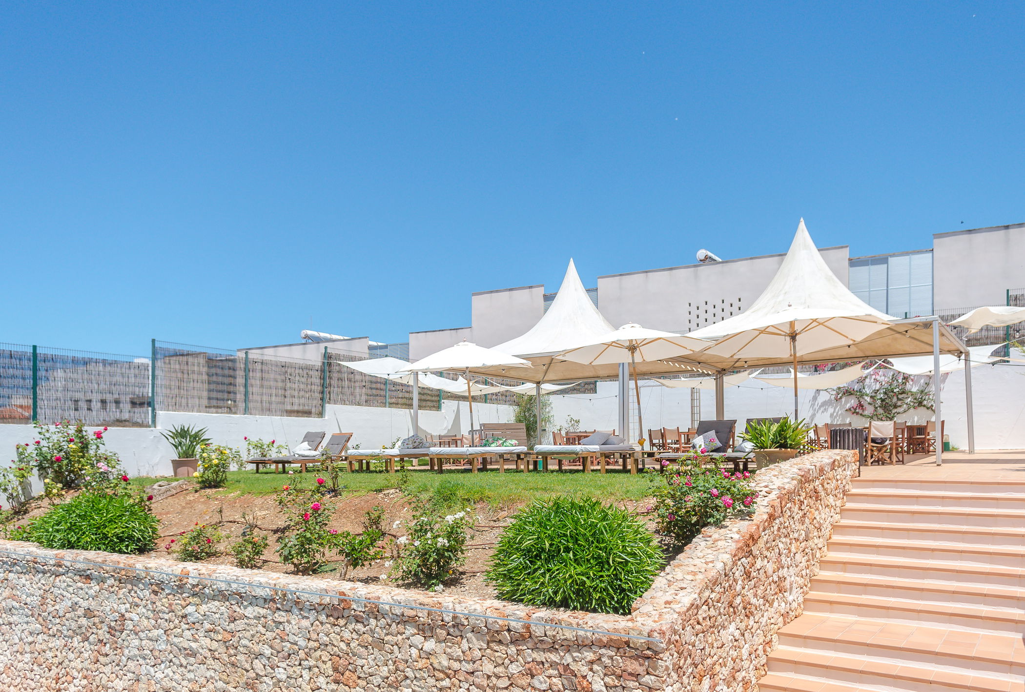 imágen del listado por defecto 1