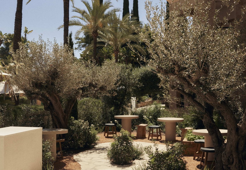 Insotel Fenicia Prestige: Estragón Gastronomía, een nieuwe ruimte van Álvaro Sanz