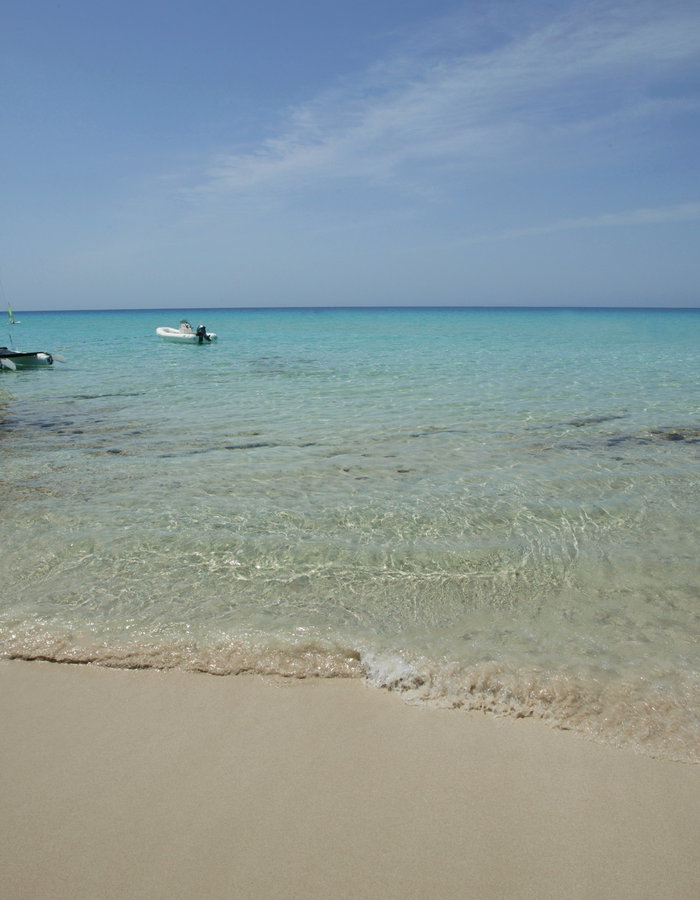 Insotel Fenicia Prestige: A few kilometres from the Port of La Savina