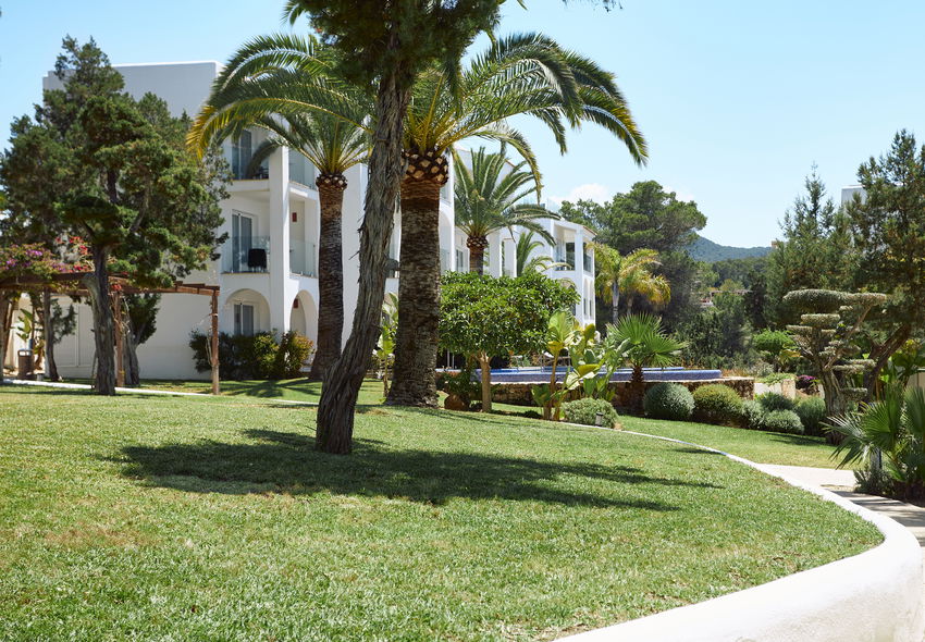 Insotel Fenicia Prestige: Double avec accès direct à la piscine