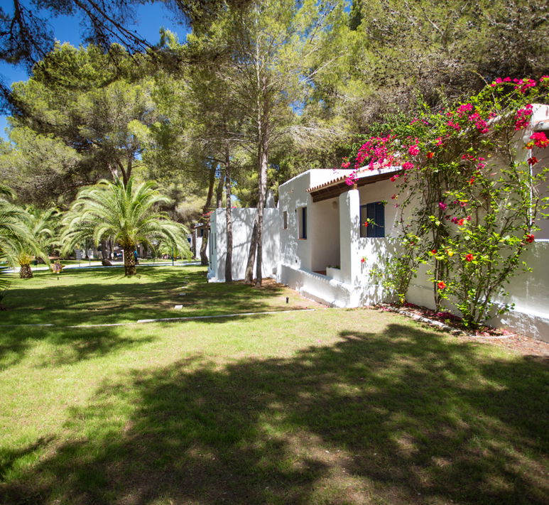 Insotel Fenicia Prestige: introduction text image 7